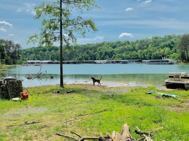 Gallery Norris Lake Front Rentals And Events
